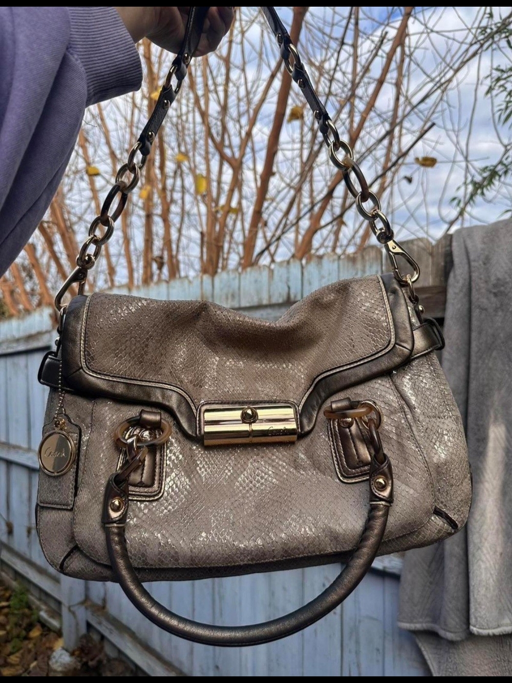 Rare Metallic Coach Kristin